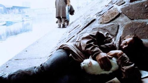 undefined Season 22 Episode 15 - The Schimanski Case