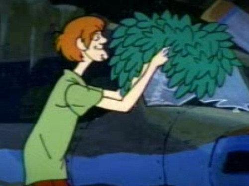 undefined Season 1 Episode 3 - Shaggy Busted