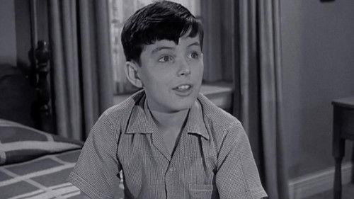 Leave It to Beaver Season 4 Episode 25 - Wally and Dudley