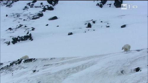 Superquark Season 20 Episode 7 - Episode 7