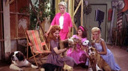 Petticoat Junction Season 3 Episode 3 - The Dog Turns Playboy