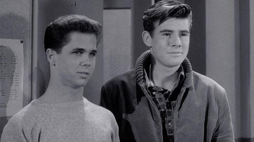 Leave It to Beaver Season 4 Episode 18 - Wally's Track Meet