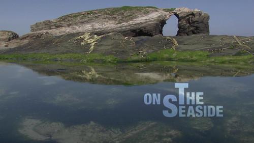 Water Life Season 1 Episode 18 - On the Seaside