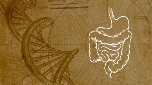 Inner Evolution Season 1 Episode 10 - Immunity & the Microbiome