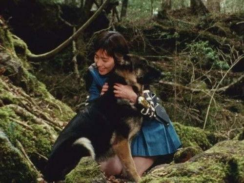 Chouriki Sentai Ohranger Season 1 Episode 13 - Illusions!! The Dog of the Gods