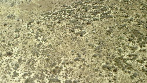 Africa's Deadliest Season 6 Episode 3 - Ultimate adversaries