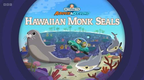 Octonauts: Above & Beyond Season 4 Episode 20 - Hawaiian Monk Seals