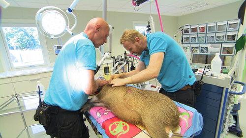 Dyrepasserne Season 6 Episode 12 - Episode 12