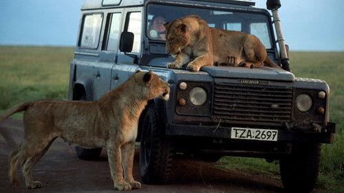 Nature Season 23 Episode 1 - Chasing Big Cats