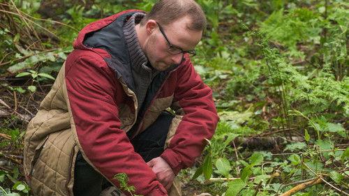 Hidden Season 3 Episode 5 - Episode 5