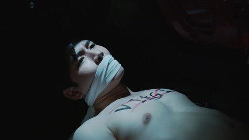 The Warp Effect Season 1 Episode 12 - Episode 12