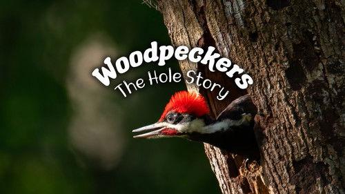 The Nature of Things Season 62 Episode 12 - Woodpeckers: The Hole Story