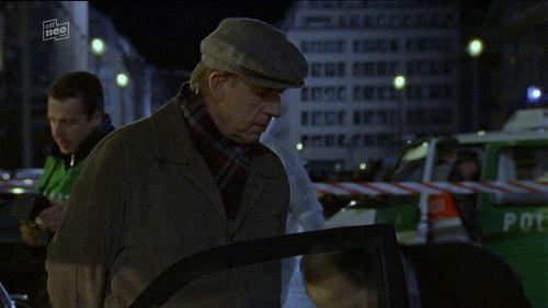 Der letzte Zeuge Season 3 Episode 8 - Episode 8