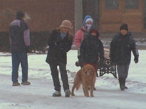 Sue Thomas: F.B.Eye Season 1 Episode 16 - He Said She Said