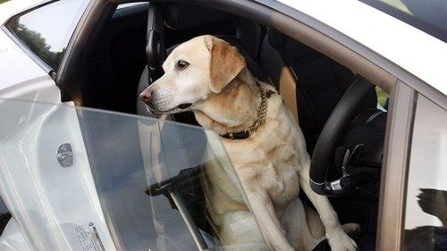 Top Gear Season 12 Episode 1 - Episode 1