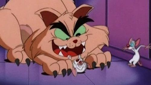 Pinky, Elmyra & The Brain Season 1 Episode 6 - The Cat That Cried Woof