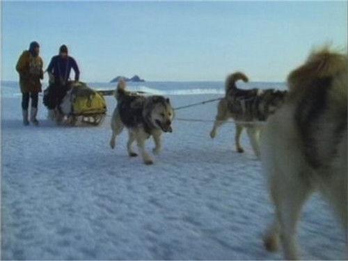 Life in the Freezer Season 1 Episode 6 - Footsteps in the Snow