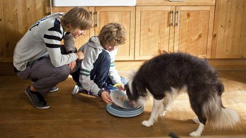 A Polish Family Season 2 Episode 22 - Episode 22