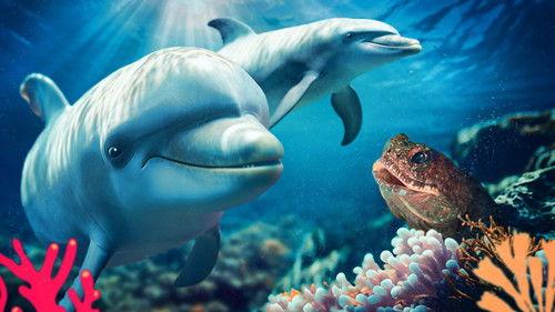 Reef School Season 2 Episode 11 - Dolphin Circus