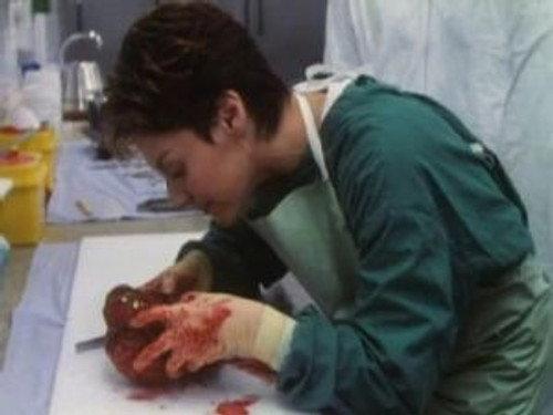 Silent Witness Season 1 Episode 6 - Darkness Visible (2)