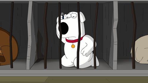 Family Guy Season 16 Episode 15 - The Woof of Wall Street