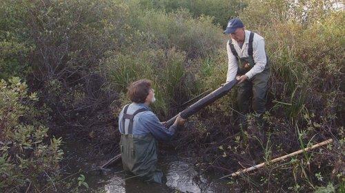 The Curse of Oak Island Season 5 Episode 13 - Unhinged