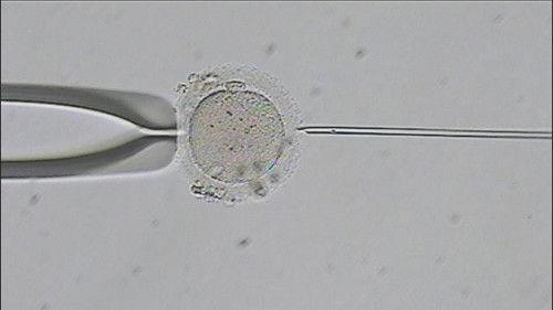 NOVA Season 48 Episode 8 - Fighting for Fertility