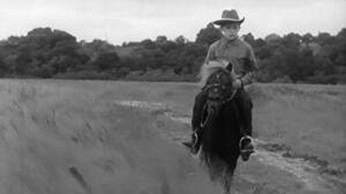 Poly Season 2 Episode 8 - Episode 8