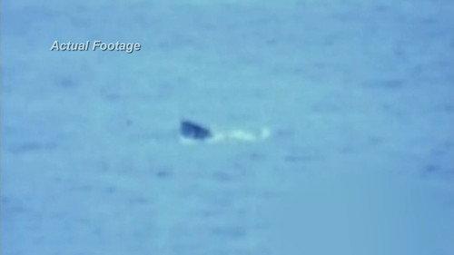 Shark Week Season 26 Episode 5 - I Escaped Jaws