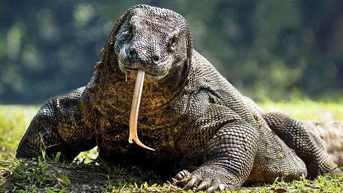 Australia Remastered Season 5 Episode 2 - Where Worlds Collide