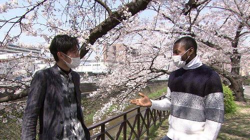 Where We Call Home Season 2 Episode 8 - Togo Tailored Kyoto Tradition