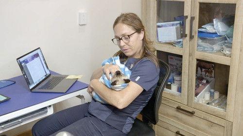 Dr. Oakley, Yukon Vet Season 9 Episode 2 - Don't Be Mean, Wolverine