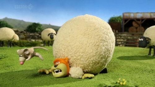 Shaun the Sheep Season 2 Episode 14 - Hide And Squeak