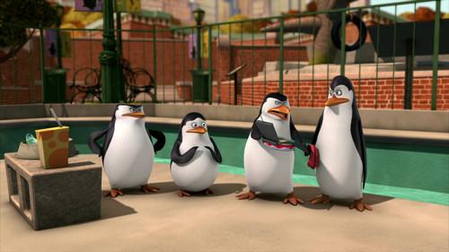 The Penguins of Madagascar Season 3 Episode 7 - Hair Apparent