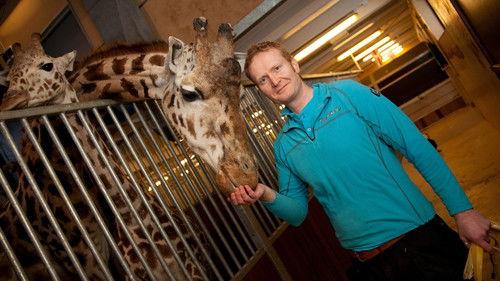 Dyrepasserne Season 1 Episode 2 - Program 2