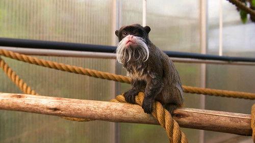 Dyrepasserne Season 9 Episode 6 - Episode 6