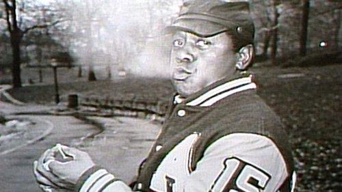 Saturday Night Live Season 9 Episode 8 - Flip Wilson/Stevie Nicks