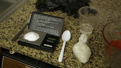 Drugs, Inc. Season 4 Episode 8 - Wasted in Seattle