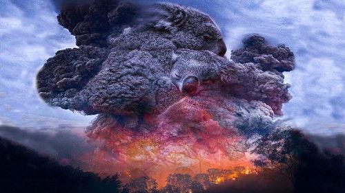 The Nature of Things Season 60 Episode 3 - Wild Australia: After the Fires