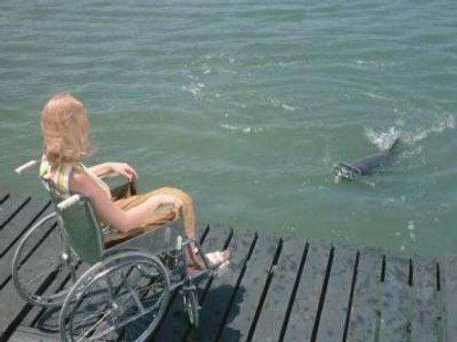 Flipper Season 1 Episode 11 - The Second Time Around