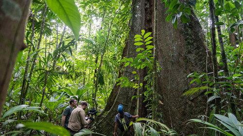 NOVA Season 52 Episode 8 - Secrets of the Forest