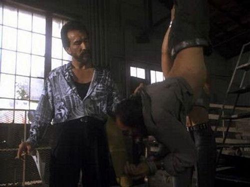 Miami Vice Season 4 Episode 12 - The Cows of October