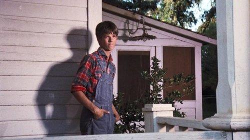 The Waltons Season 6 Episode 10 - The Flight