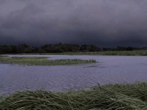 Swamp People Season 3 Episode 14 - Voodoo Bayou