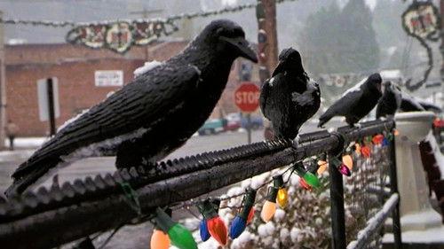 Northern Exposure Season 3 Episode 10 - Seoul Mates