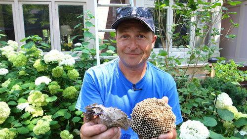 Louis and the Urban Jungle Season 2 Episode 8 - Episode 8