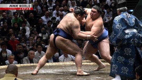 GRAND SUMO Highlights Season 29 Episode 2 - Day 2