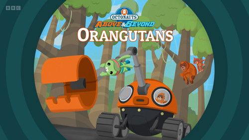 Octonauts: Above & Beyond Season 3 Episode 10 - Orangutans