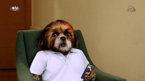 Aleixo Psi Season 1 Episode 6 - Episode 6