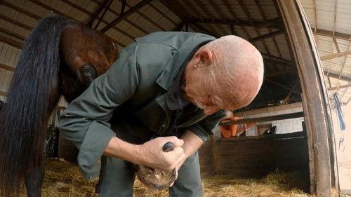 The Incredible Dr. Pol Season 13 Episode 10 - Kung Fu Biting